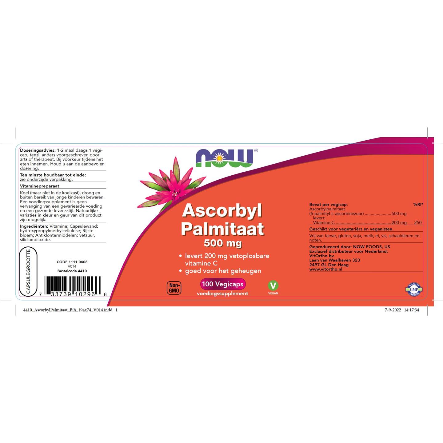 Mus Een computer gebruiken namens Ascorbyl Palmitaat 500 mg (NOW )