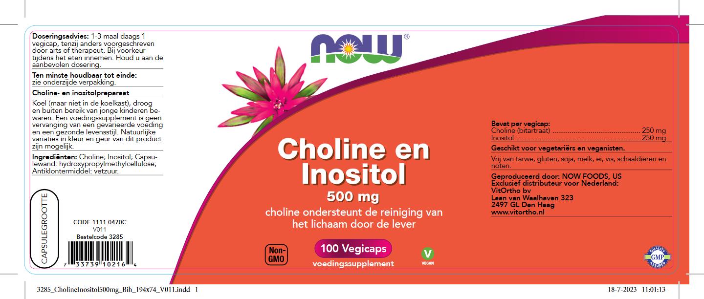 Choline en Inositol 500 mg