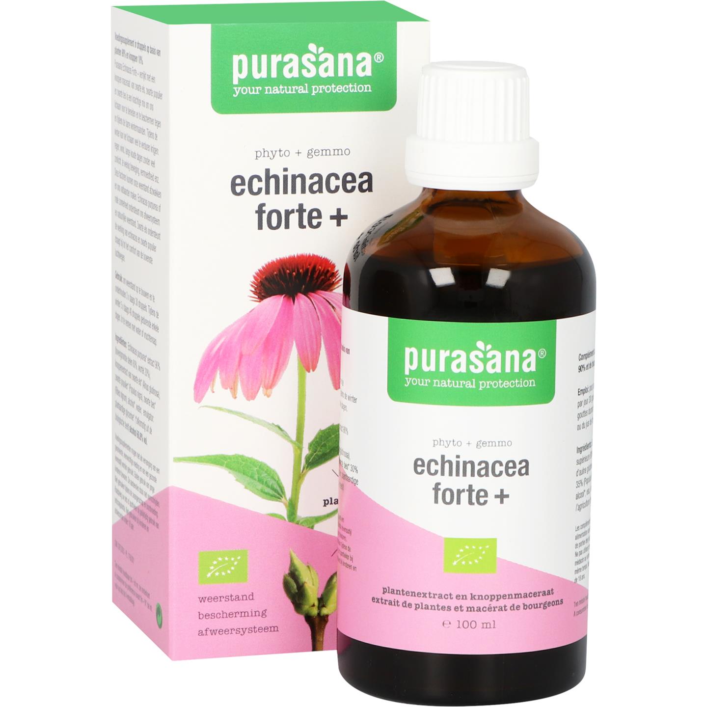 Echinacea Forte + BIO