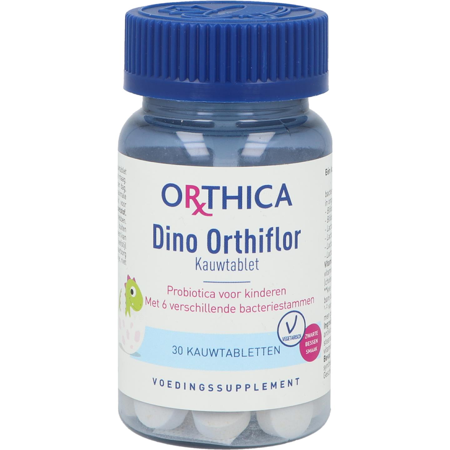 Dino Orthiflor