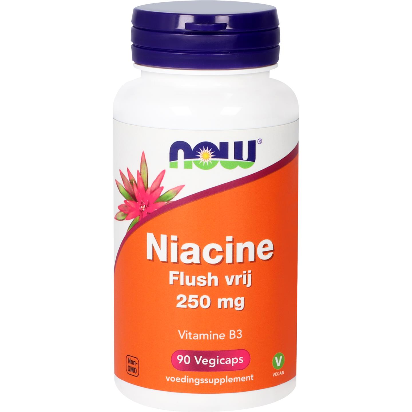 Now Niacin Flush Free 320mg 90caps