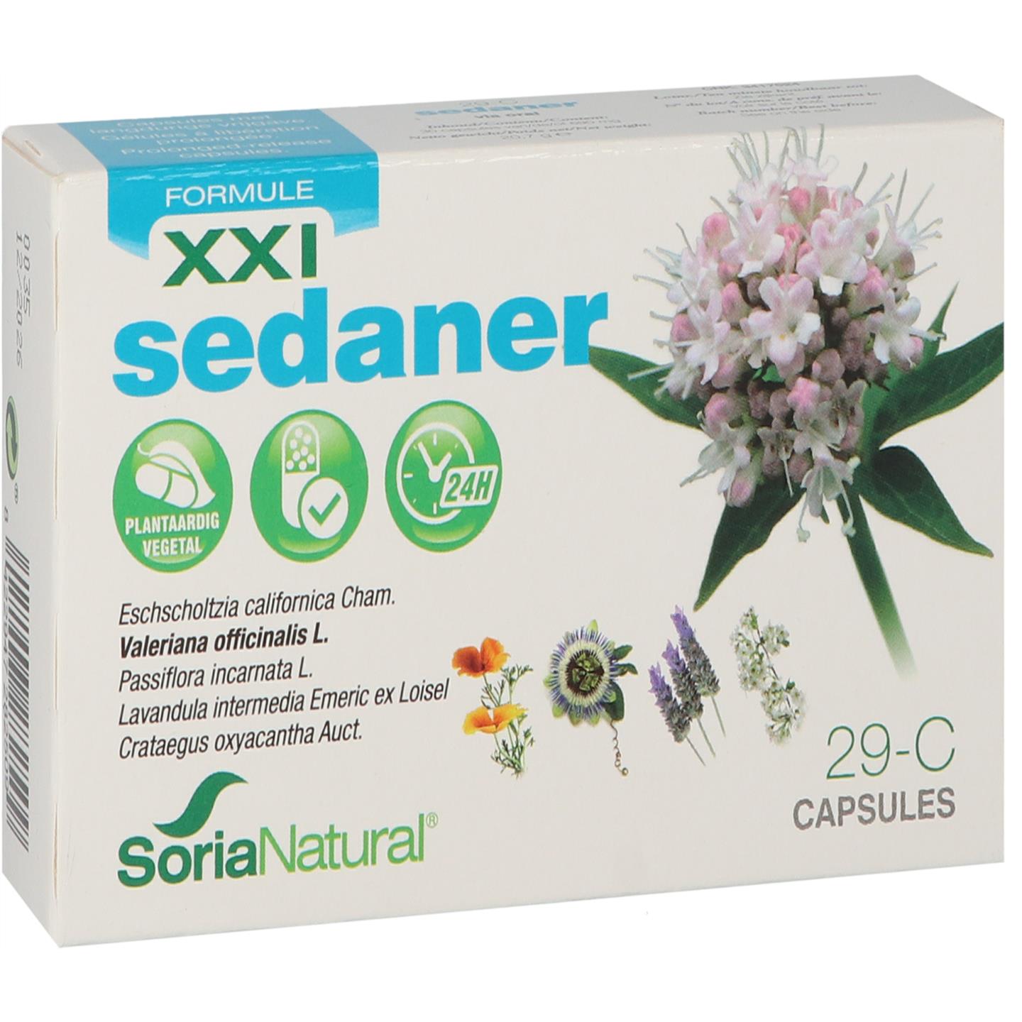 XXI Sedaner 29-C