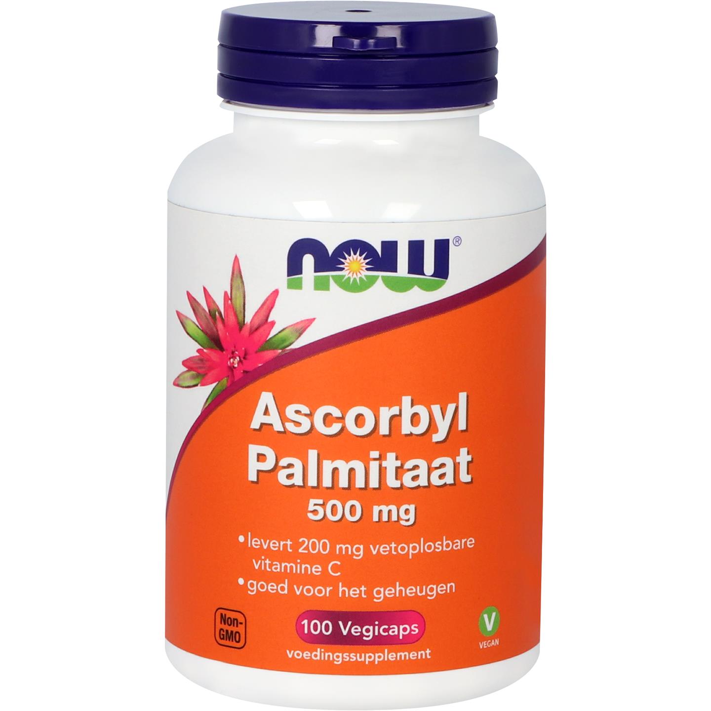 Ascorbyl Palmitaat 500 mg