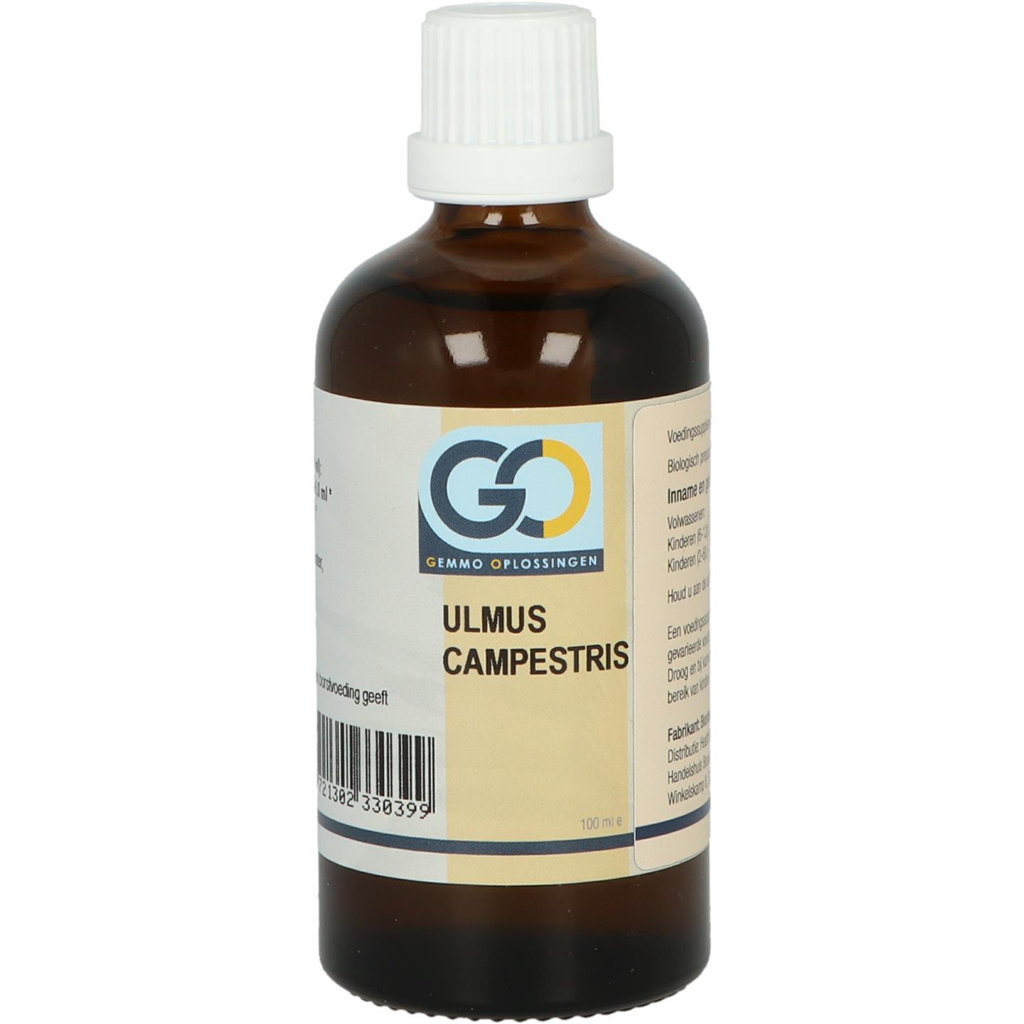 GO Ulmus campestris BIO