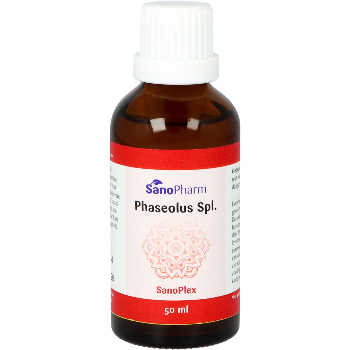 Phaseolus Spl.