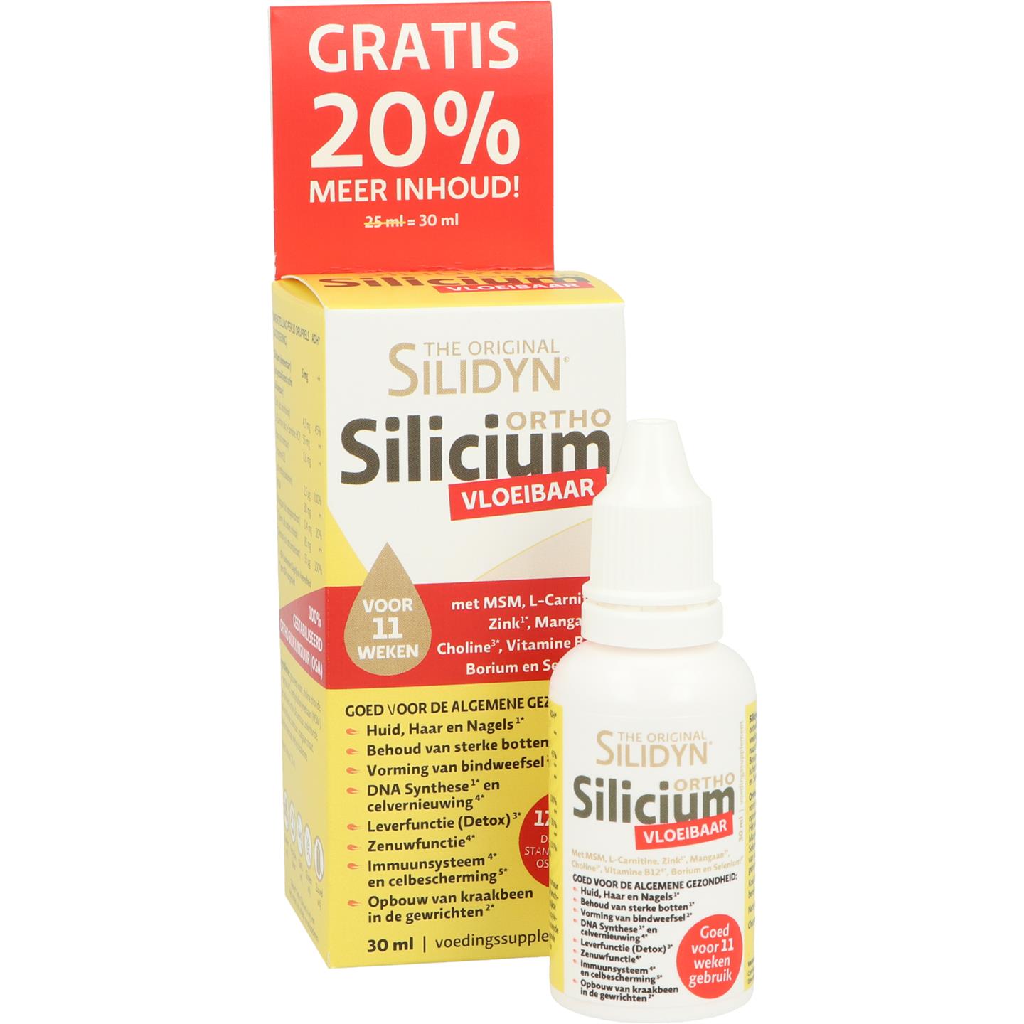Silidyn Silicium