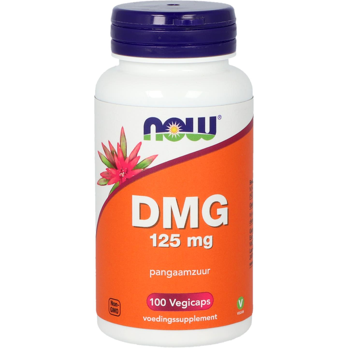 NOW DMG pangaam zuur B15 125 mg 100cap