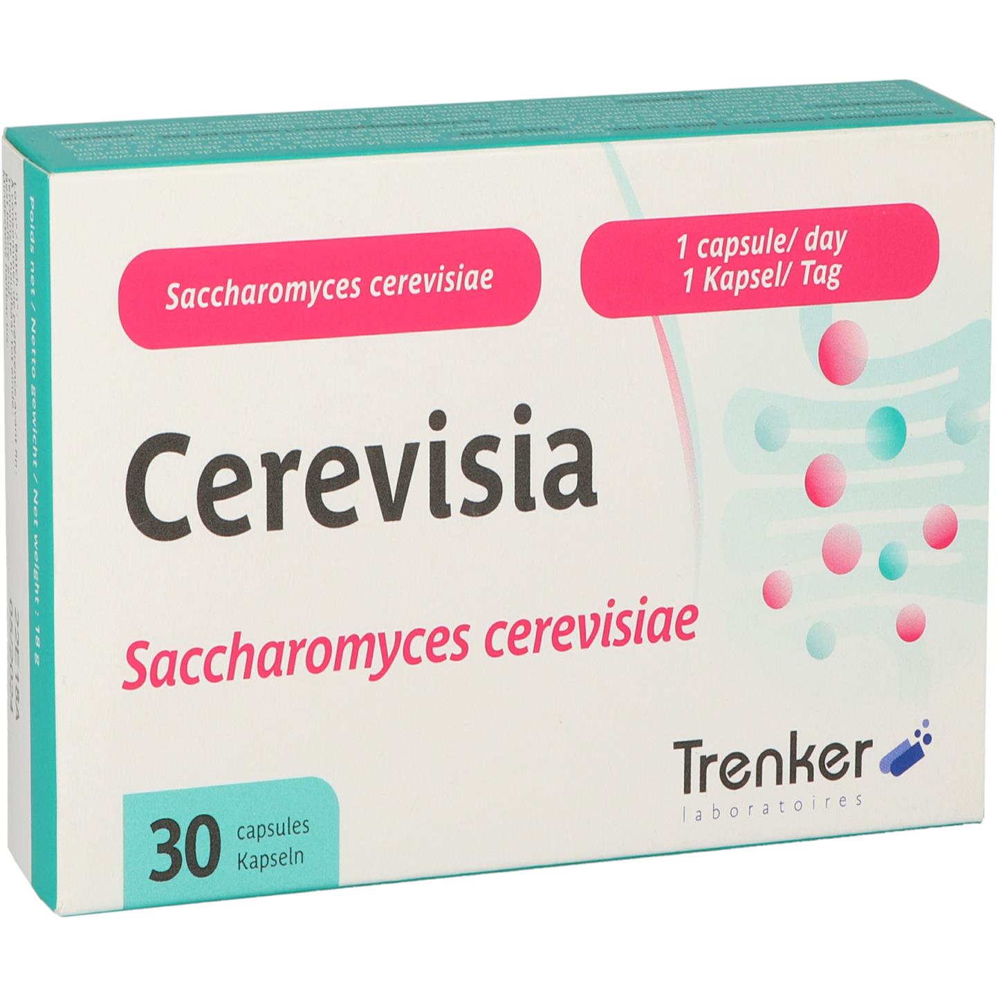 Cerevisia