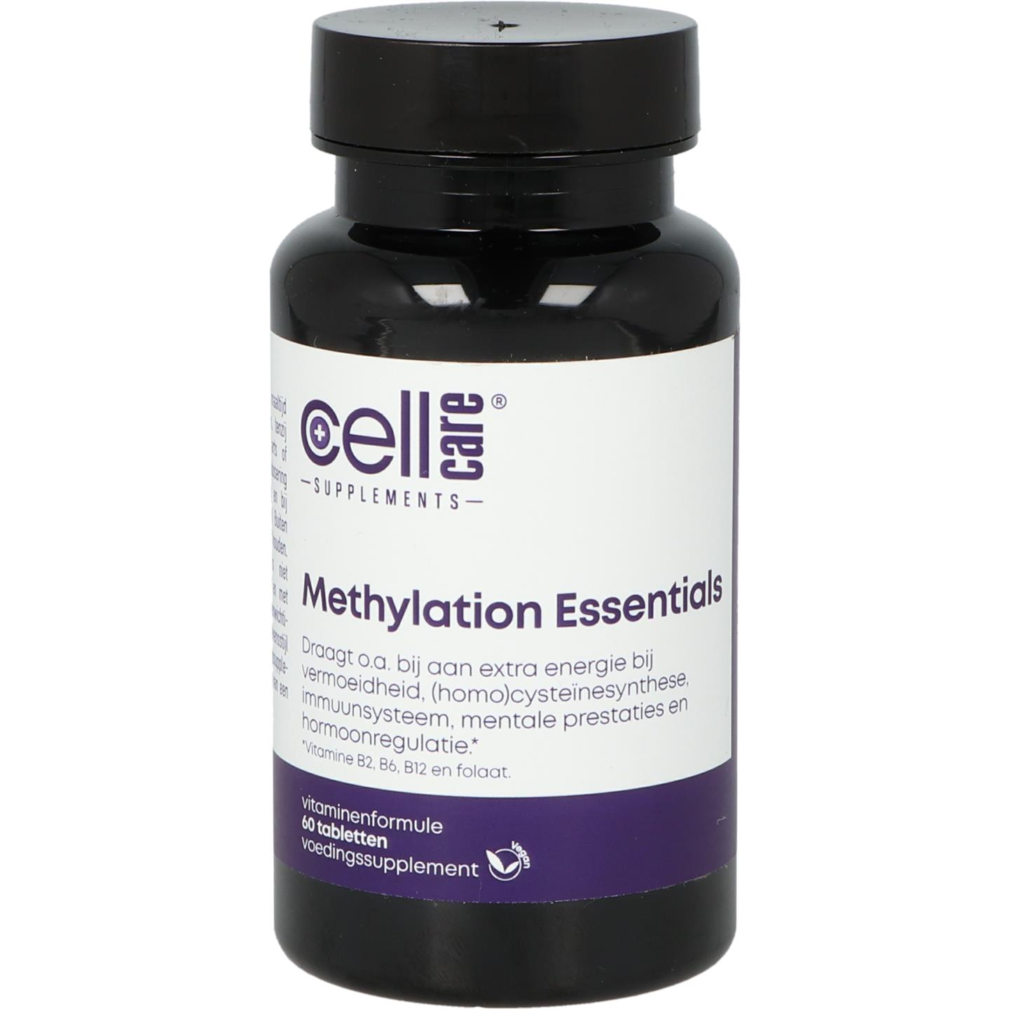 Methylation Essentials